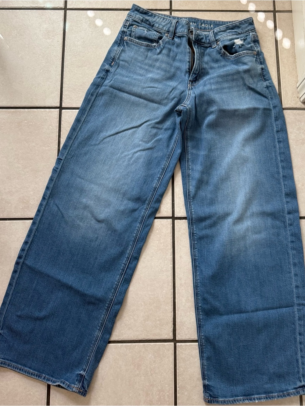 American Eagle Outfitters Women’s Low Rise Baggy Wide Leg Blue Jeans Size 6L